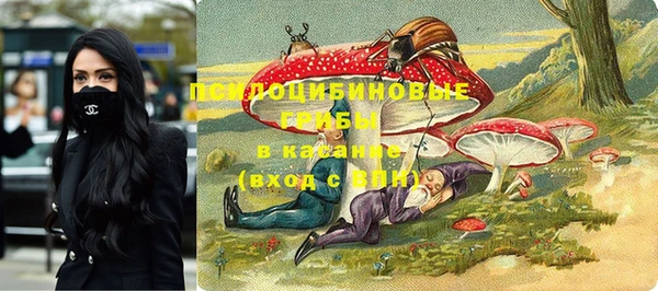 spice Балабаново