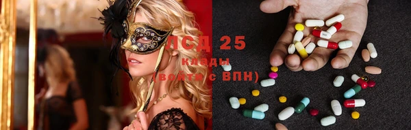 индика Балахна